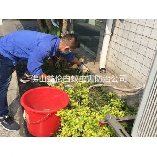 云东海厂区灭鼠工程